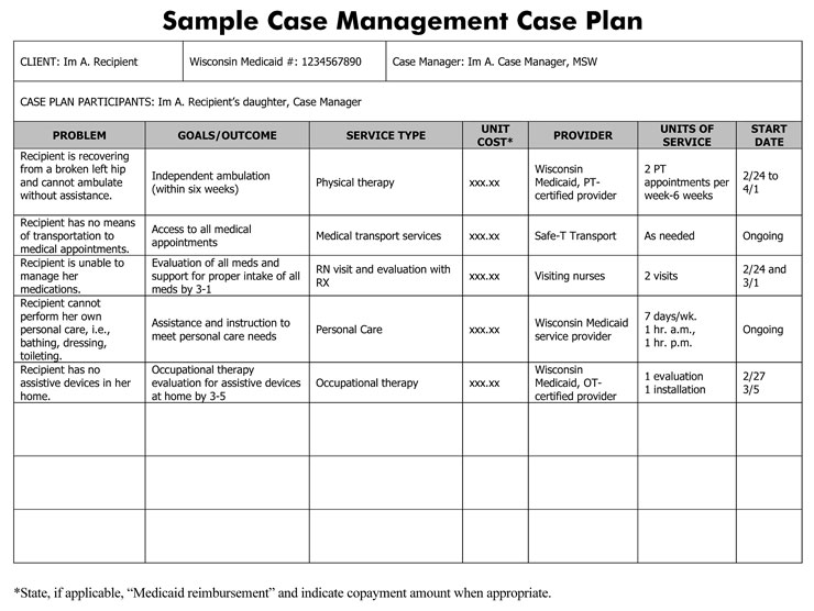 Sample Case Plan Template